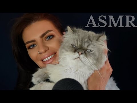 ASMR with my cats🐱