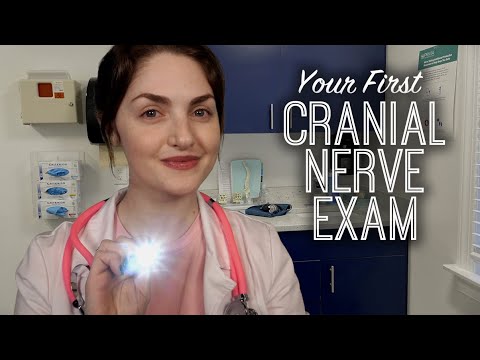 ASMR | Your FIRST Cranial Nerve Exam (you've never seen a doctor before)