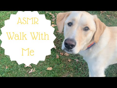 ASMR/Dog Walking in the Autumn Woods