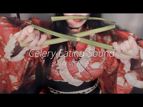 ASMR No Talking 'Celery Eating Sound 1Hour!' 쮸왑쮸왉 셀러리이팅 1시간