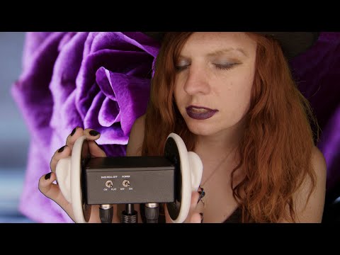ASMR | 3Dio Intensive Ear Eating Ear Noms (Soft Whispering) | Mouth Sounds