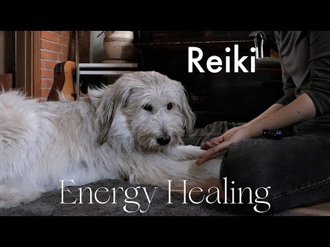My dog asked me for reiki so here is the healing