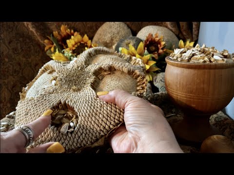 De-seeding Sunflower!🌻(No talking only) Removing seeds from dried sunflower head! ASMR