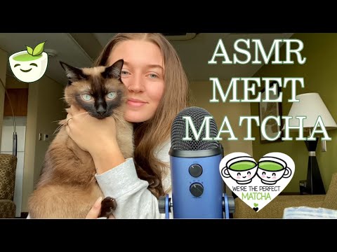 ASMR | MEET MATCHA | CAT EATING SOUNDS