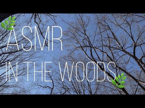 АСМР в лесу|ASMR in the woods🍃