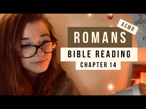 ASMR ROMANS 14 BIBLE READING | for sleep, whisper, cat strokes (chapter interpretation)