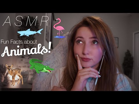 ASMR ~ Binaural Animal Fun Facts!