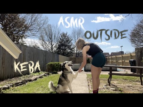 hanging outside on a spring day Lofi asmr 🌸 ~ playing fetch, sun bathing, personal attention  🤍