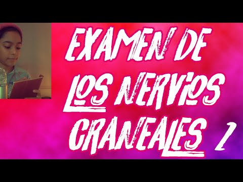 ASMR ESPAÑOL  |  Roleplay de los Nervios Craneales 2