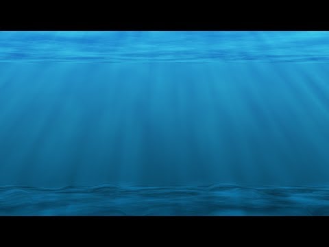 🎧 1 Hour Underwater Sounds with Music for Relaxation, Sleep & Stress Relief 🎧