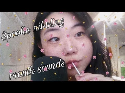 ASMR| Spoolie Nibbling + Mouth Sounds + Personal Attention
