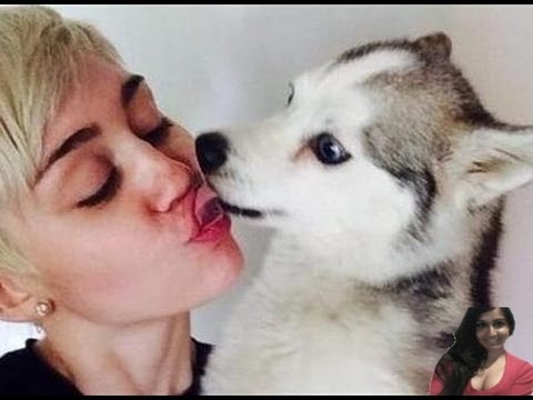 Miley Cyrus Breaks Down During 'Landslide' Cover Dedicated To Her Dog - Video Review