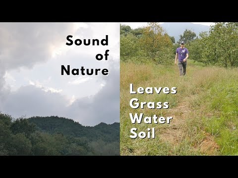 ASMR Country Mountain Tour: Sound of Nature, Leaves, Grass, Water and Soil (No Talking)