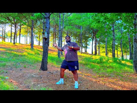 ASMR IN THE FOREST