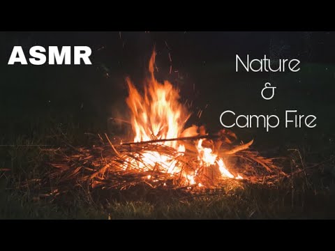 ASMR Caseiro | Sons da Natureza & Fogueira | Nature Sounds and Camp Fire 🍃🔥