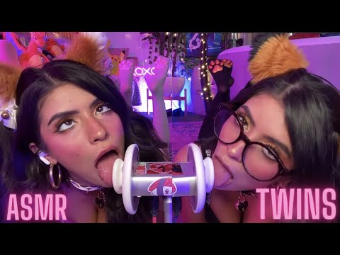 ASMR Twins Cats FAST Noms , ARA ARA, and Meow in your Ears! 👅 🐱