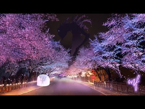 Spring and the Sakura Creature ASMR Ambience