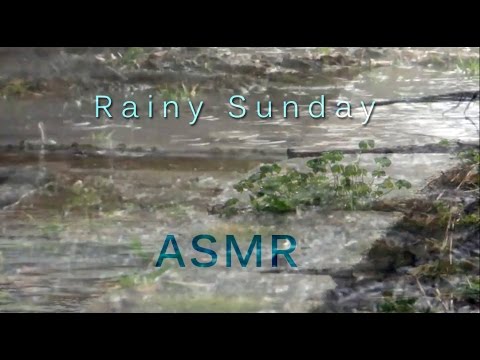 Rainy Sunday ASMR - White Noise and Light/Medium Rain