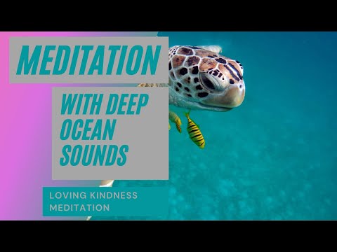 THIS RELAXING MEDITATION IS INSANE | Loving Kindness Meditation | Rare & Colorful Sea Life Video