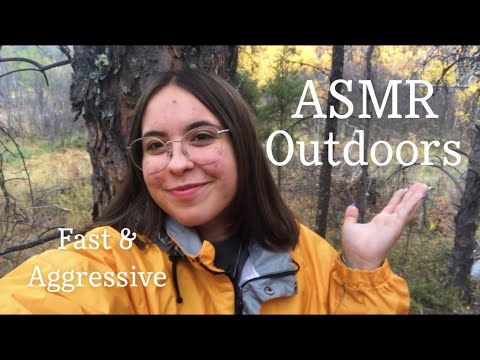 Fast and Aggressive Outdoors ASMR (lofi)