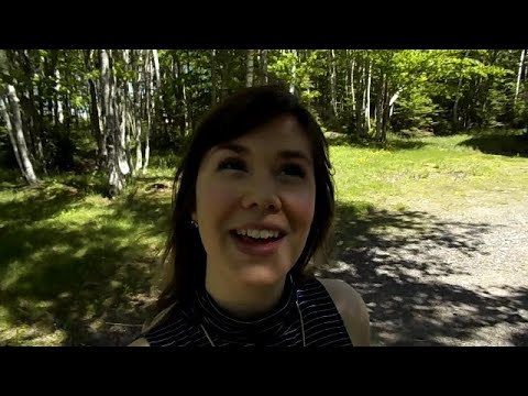ASMR Outdoor Search for Trigger Words - LoFi with Wind