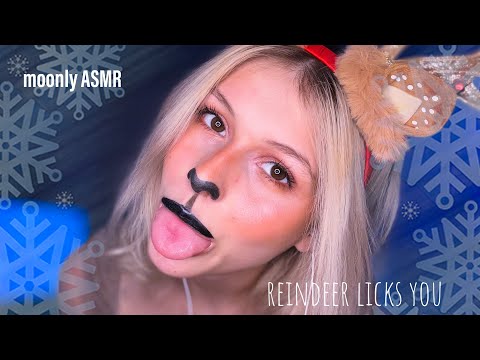 ASMR-reindeer licks you🦌*roleplay*(mouthsounds,lens licking,closeup…)