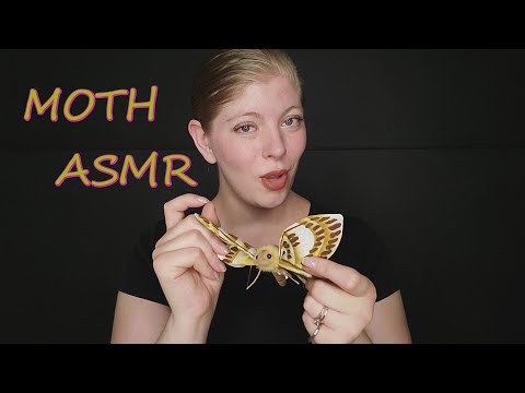 ASMR | with MOTHS in honor of my inability to proof read 🦋