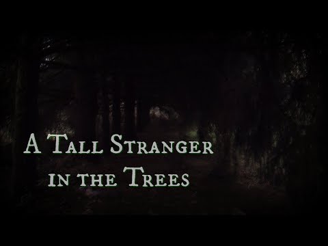 ☆★ASMR★☆ "A Tall Stranger in the Trees" Creepypasta
