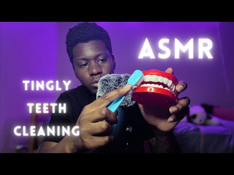 ASMR Dentist Cleaning Appointment Roleplay (Personal Attention) #asmr