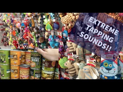[ASMR] Extreme Tapping Around Pet Store! (Short)