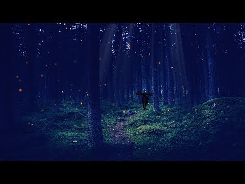 A Night in the Enchanted Forest ASMR Ambience