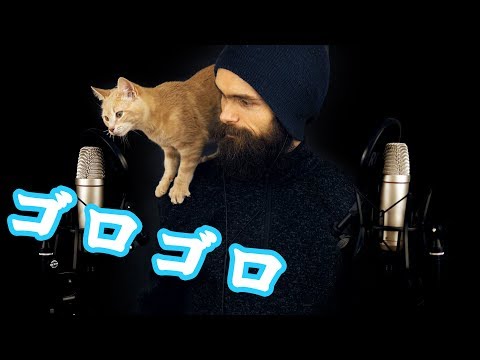 日本語+猫asmr:僕の猫たちを紹介します（大変です！ｗ）（囁き・猫がゴロゴロいう音） (ASMR INTENSE PURRING)