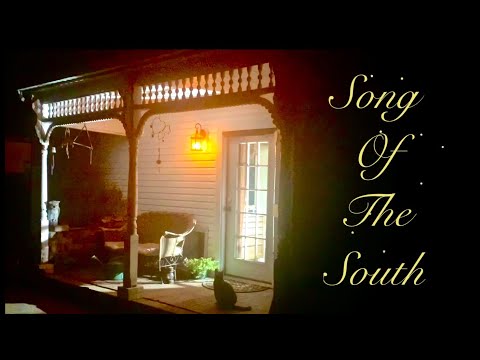 ASMR Southern night  porch sittin’/ Real footage & sound (no layering) Cicadas/crickets/cats