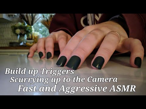 Build Up Tapping... Scurrying up to the Camera (Fast And Aggressive ASMR)