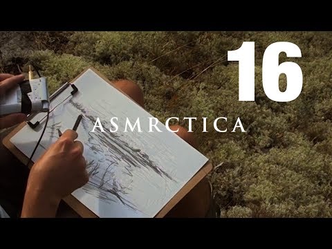 ASMR In the forest 3 - Open Air Close Up Pencil drawing - Soft spoken Sleep Aid