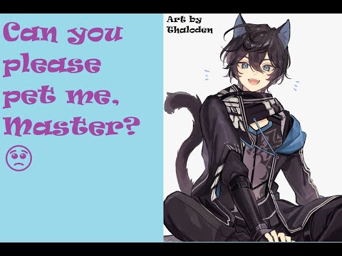 Your Catboy Wants Your Attention | ASMR | SFW | m4m