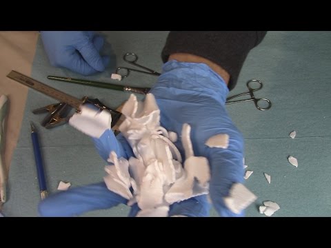 ASMR ► Styrofoam Cup Dissection ☼