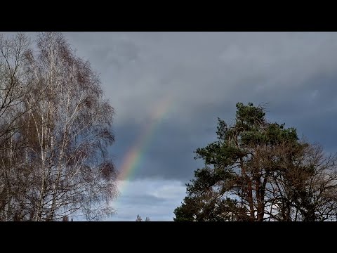 Christlicher Vlog 2 - Hat Gott Welt & Menschen erschaffen? (Achtsam Spazieren im Naturschutzgebiet)
