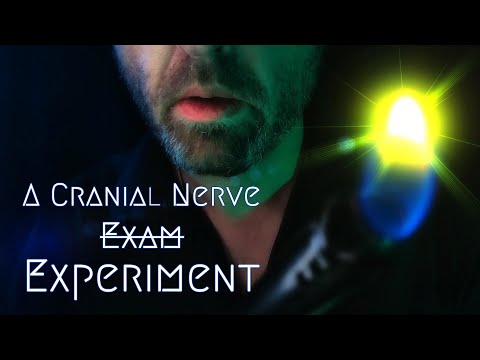 An ASMR Cranial Nerve Experiment