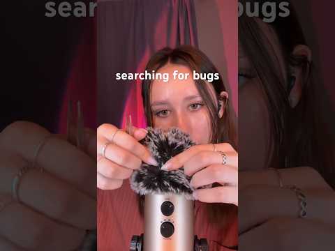 ASMR | searching for bugs #asmr #asmrvideos