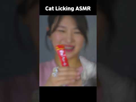 Cute Cat Licking Your Screen | 고양이가 츄르 먹는 모습