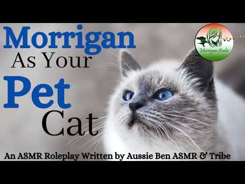 ASMR Role Play: Morrigan, the Pet Cat [Funny] [Sassy]