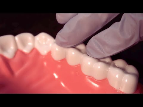 ASMR Touching Your Teeth w/Latex Gloves