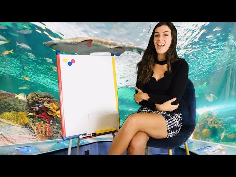 [ASMR] A Relaxing Lesson On The Earth's Oceans (teacher roleplay)