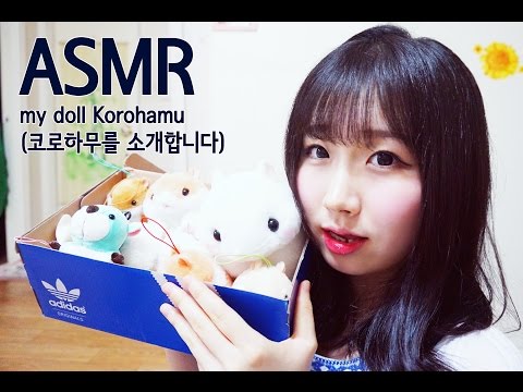 [한국어 ASMR ,  ASMR Korean ] my doll Korohamu (코로하무를 소개합니다)