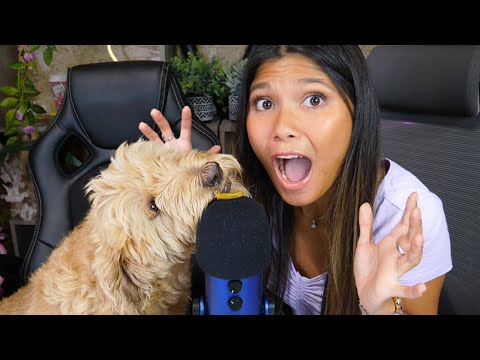ASMR MOUTH SOUNDS WITH MY DOG