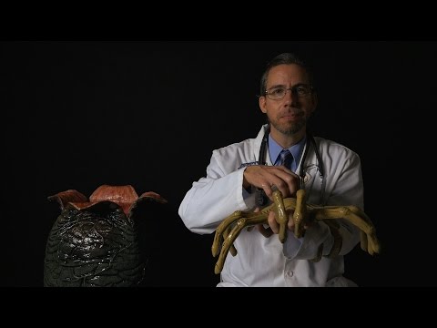 The Xenomorph Experiment with Professor Clemmons [ ASMR ]