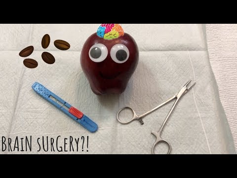 [ASMR] Brain Surgery On Apple