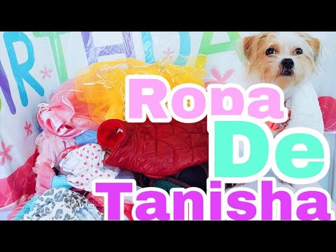 Toda la ropa de mi perro 🐶 | TANISHA | LABORATORIO SU