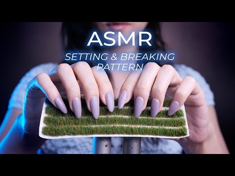 ASMR Triggers That Give the Most Tingles | Setting and Breaking the Pattern (No Talking)